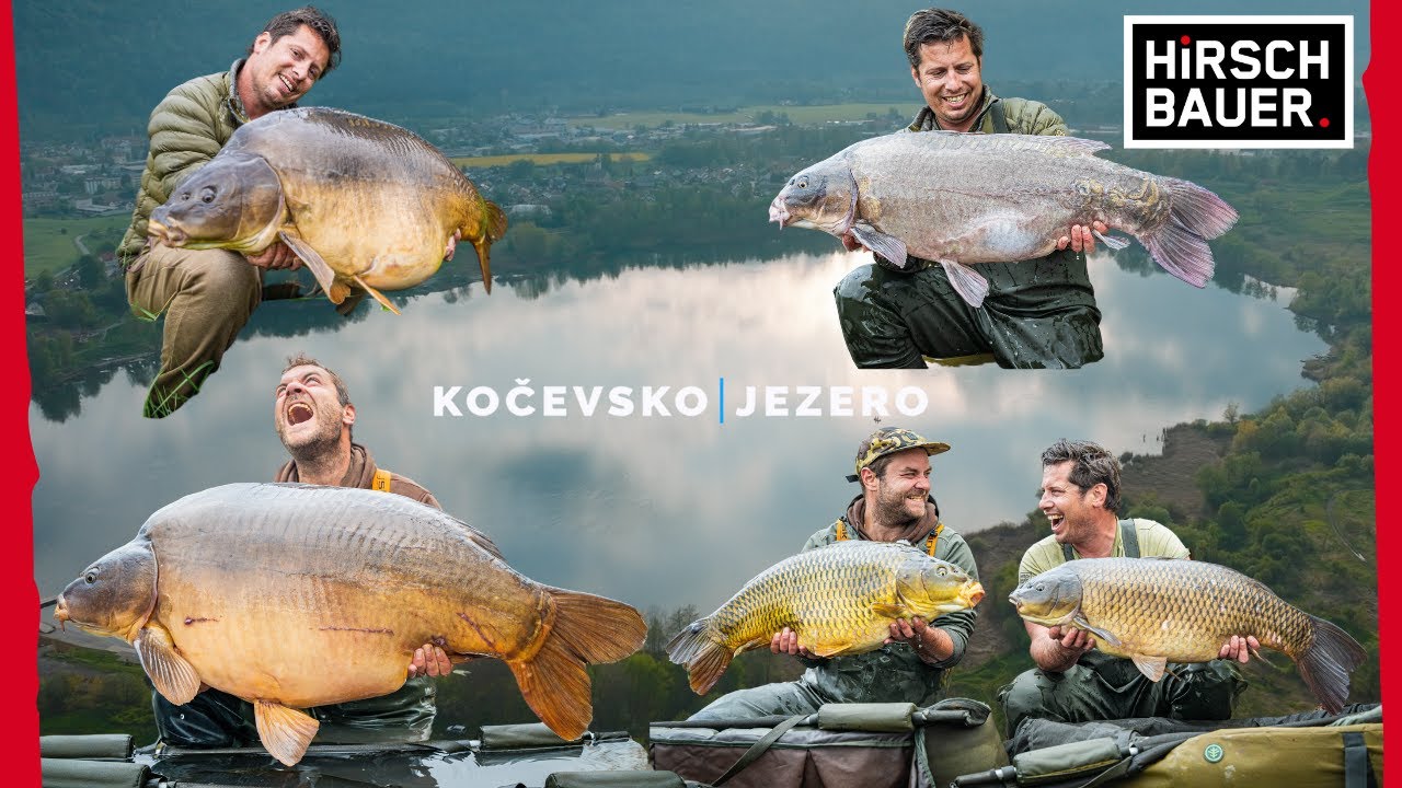 Load video: Karpfenangeln in Slowenien! Kočevje Jezero Epische Abenteuer mit Thomas und Georg! 4K